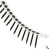 Collated Drywall Screws 25mm (Box of 1000)