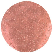 Refina 9" Tungsten Carbide Sanding Disc